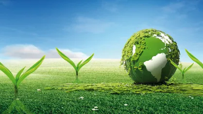 محققان آلودگی&zwnj; هوا را حذف خواهند کرد