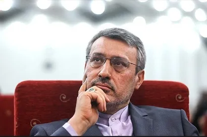 سواد حقوقی شما شاهکار بود لطفاً وارد بحث&zwnj;های فنی برجام نشوید