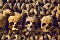 دخمه مردگان پاریس کجاست؟ / از سیل اجساد تا کشاورزی روی خاکی که بوی مرگ می‌دهد!