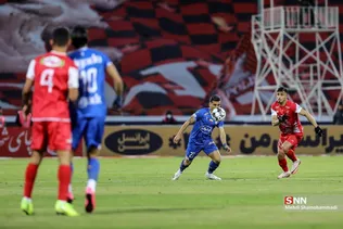 دبب