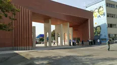 خودکشی کارمند دانشگاه شریف به سرانجام نرسید