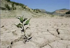 فرخ‌نیا: صرفه‌جویی برای گذار از شرایط کم آبی ضروری است