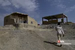 جهادی