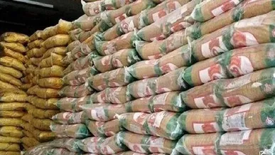 توزیع ۱۰۳ تن برنج ویژه طرح کالابرگ در بوشهر آغاز شد