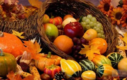 آشنایی با میوه&zwnj;های مفید پاییزی