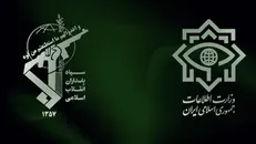 بازداشت چند عضو حلقه برانداز همسو با دشمن
