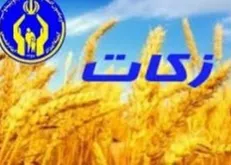 آمار اولیه جمع‌آوری زکات فطریه در کمیته امداد اعلام شد