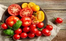 فواید شگفت انگیز گوجه فرنگی که نمی‌دانستید