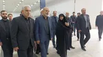 وحیدی