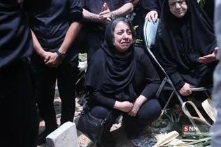 دبب
