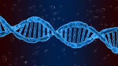 تولید نانوساختارهای DNA کپسول‌مانند