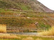 دود شفاف نبودن اسناد در چشم معامله‌کنندگان املاک و اراضی / حکایت هزینه‌ای که به حاکمیت تحمیل می‌شود