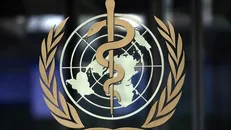 سازمان جهانی بهداشت: آمریکای جنوبی به کانون جدید کرونا تبدیل شده