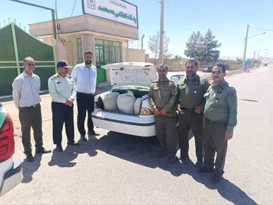کشف و ضبط ۵۷ کیلوگرم گیاه دارویی در شهرستان طبس