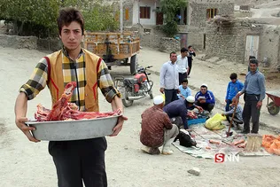جرگلان