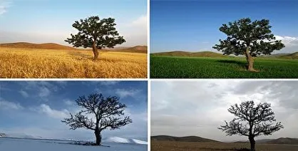 وقتی می&zwnj;گویند ایران چهار فصل است دقیقا به چه معناست؟