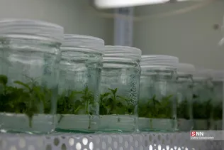 567567