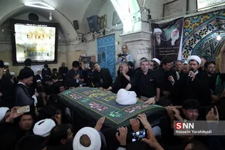 تشیع