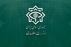 وزارت اطلاعات: خبرنگاران نقش بارزی در ناکامی سربازان رسانه‌ای دشمن داشتند