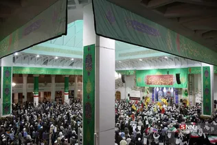 دبب