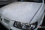 تهران در روز های پایانی سال