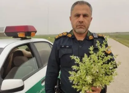 دومین مامور حادثه تیراندازی دیلم به شهادت رسید