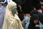 دبب