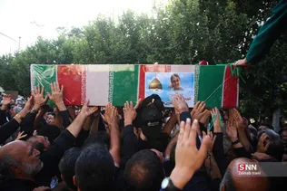 دبب