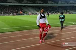 دبب