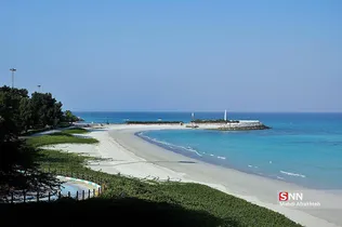 صثفصل