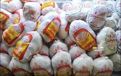 ضبط ۴۰ تن مرغ منجمد احتکارشده در کشتارگاه ایوان