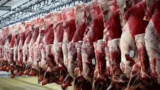 چرا سامانه بازارگاه مشکل را حل نکرد؟