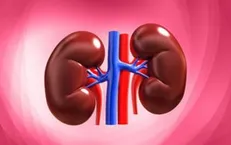 راهکار‌هایی برای سم زدایی طبیعی کلیه