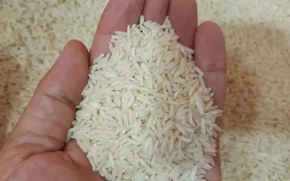 رفع ممنوعیت از واردات برنج / ۲۰۰ هزار تن در صف تخصیص ارز