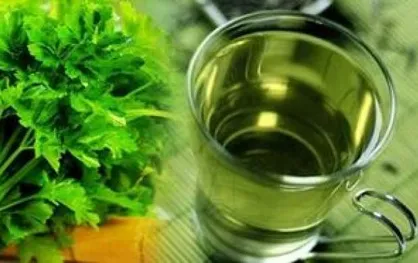چای&zwnj;های لاغری کدام است؟