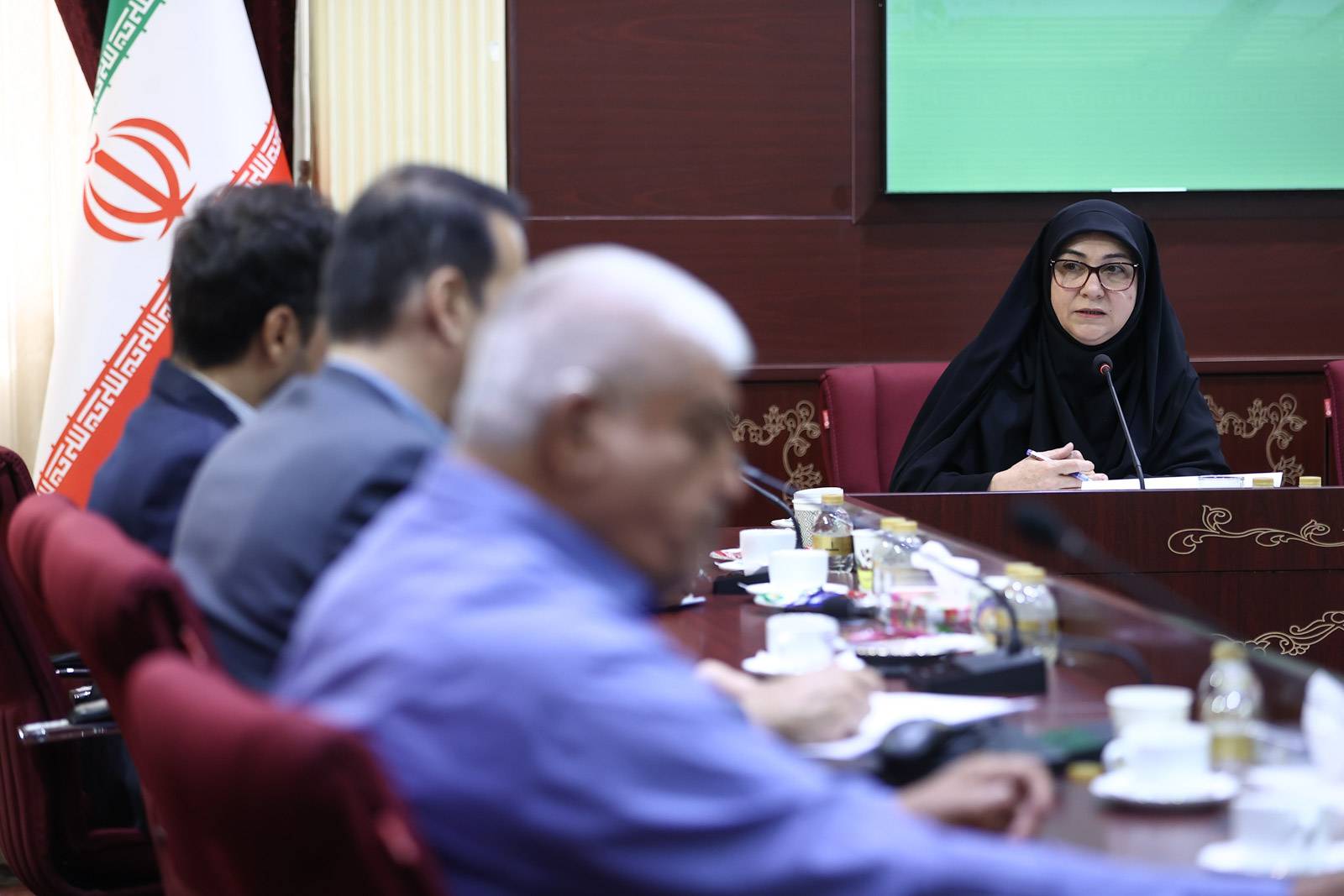 فدراسیون پارادوومیدانی