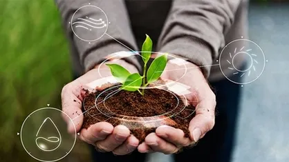 بازار بزرگ واردات مواد غذایی را با استفاده از فناوری&zwnj;های زیستی کوچک کنیم