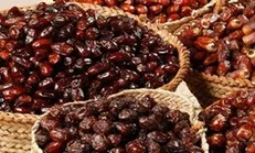 چند روز آینده خرید توافقی خرما آغاز می‌شود/ افزایش قیمت شیر موقتی است