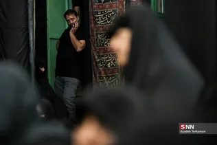 دبب