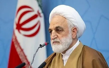قائم&zwnj;مقام حزب مردمی اصلاحات: حجت&zwnj;الاسلام&zwnj; محسنی&zwnj;اژه&zwnj;ای برای رفع مشکلات انگیزه دارد