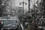 بارش برف در شمال شهر پایتخت