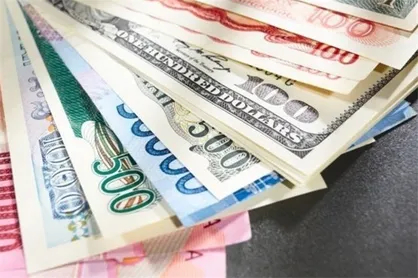جایگزینی یورو بر التهاب ارزی تاثیری ندارد/ عملکرد کند دولت در مبادلات ارزی بین کشور&zwnj;ها