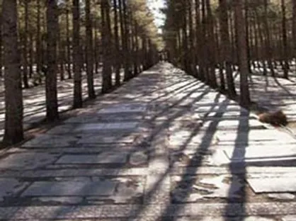 مدیرعامل سازمان بهشت&zwnj;زهرا (س): به هر شهروند تهرانی یک قبر رایگان در بهشت&zwnj;زهرا (س) می&zwnj;دهیم