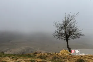 مه در جاده
