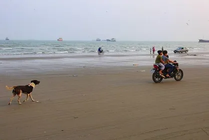 ۲۸ مورد گاز گرفتگی سگ در دو ماهه امسال ثبت شده است