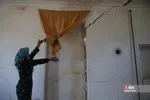 دبب