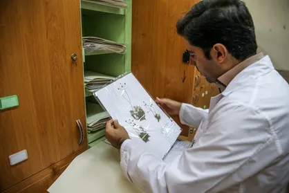 تمدید مهلت فراخوان &laquo;جذب مروج- پژوهشگر پسادکتری کشاورزی و منابع طبیعی&raquo;