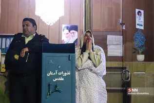 دبب