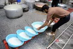 تربیت مدرس