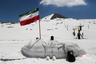 دبب